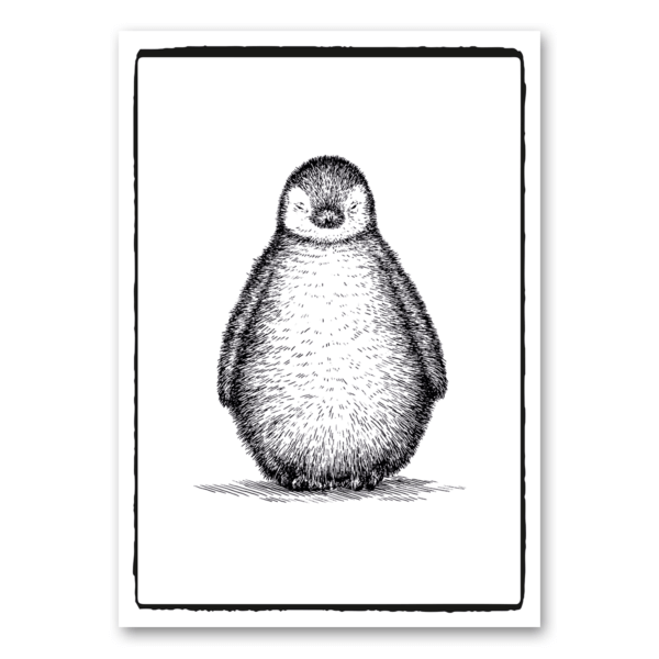 Pinguine more than canvas Leinwand Wand Deko